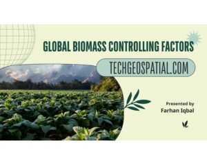 Global Biomass 