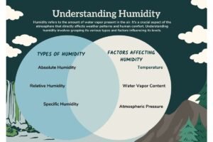 Understanding Humidity