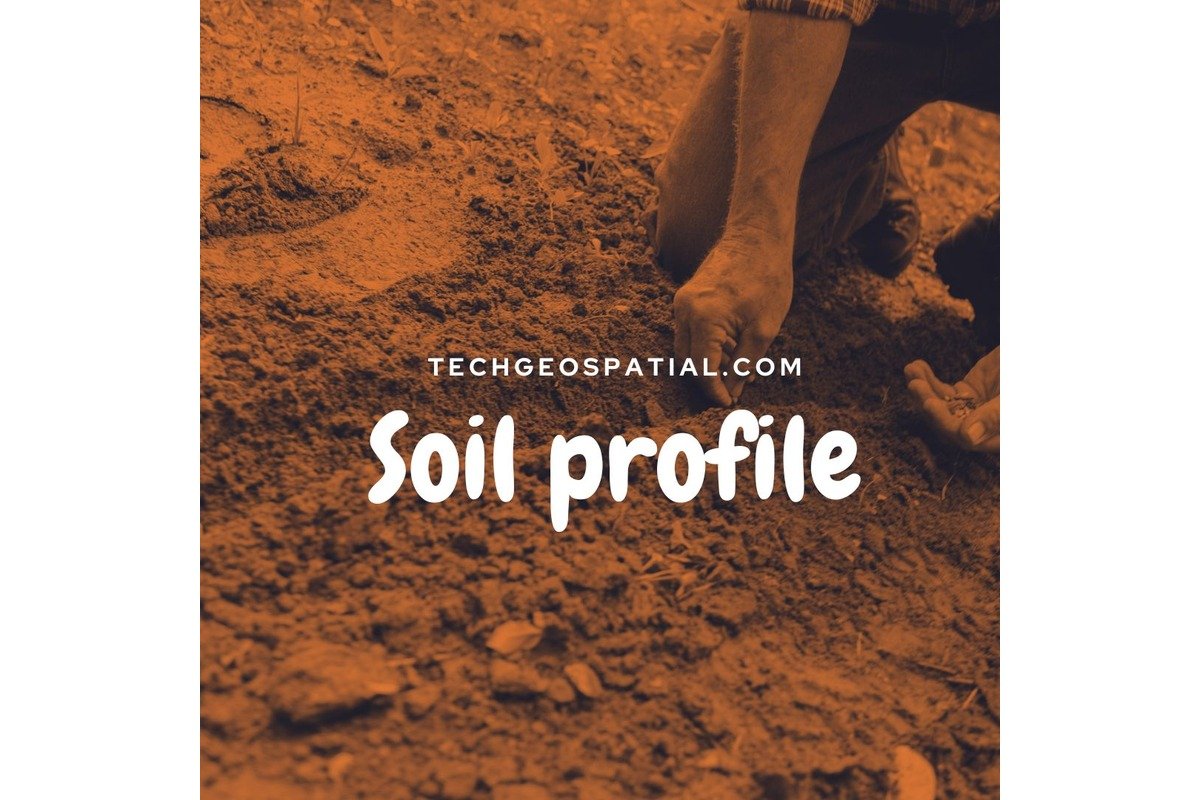 Soil Profile