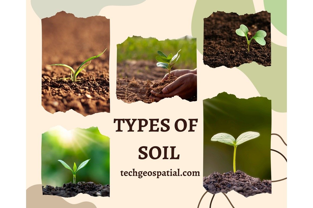 Types of Soil